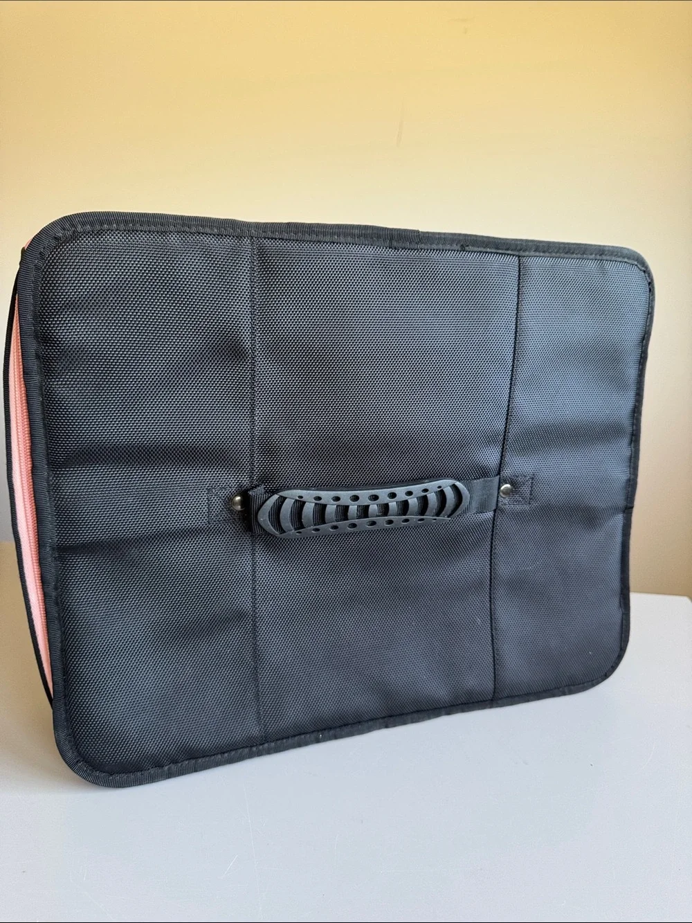 RARE Mary Kay Black & Pink Insulated Full Zip Carry Case *Empty*
